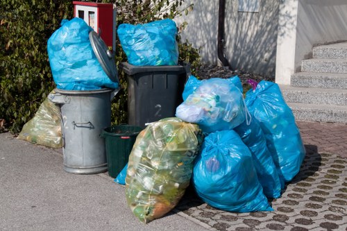 A collection of various rubbish bags and bins positioned on a paved driveway near the edge of a garden in Chislehurst. The image shows multiple large blue plastic bags filled with waste, some partially tied, along with a black bin and a smaller green bin. There are also transparent bags containing discarded household items and garden waste, with some bags leaning against each other and the bins. The scene is outdoors, with a backdrop of garden shrubbery and a concrete wall, and a set of concrete steps leading up to a doorway visible in the background. The natural lighting suggests daytime, and the arrangement indicates a typical rubbish collection preparation near a residential property, reflecting rubbish removal services in the area. The presence of garden and household waste aligns with garden clearance and general rubbish disposal tasks handled by Garden Clearance Chislehurst.